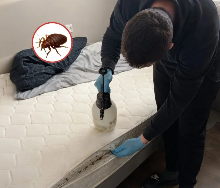 Technicien traitant un matelas contre les punaises de lit à Bagnolet